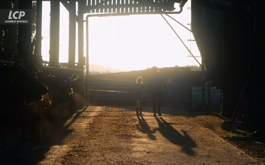 Rencontre Ciné-Débat : « Nous agricultrices, actrices de notre avenir »